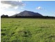 Moorland NSW 2443