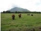 Moorland NSW 2443