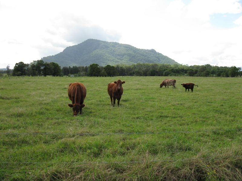 Moorland NSW 2443