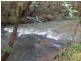 301 Upsalls Creek Road, Upsalls Creek NSW 2439