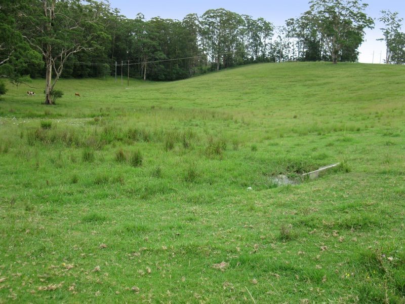 Lot 1 Francis Redman Place, Hannam Vale NSW 2443