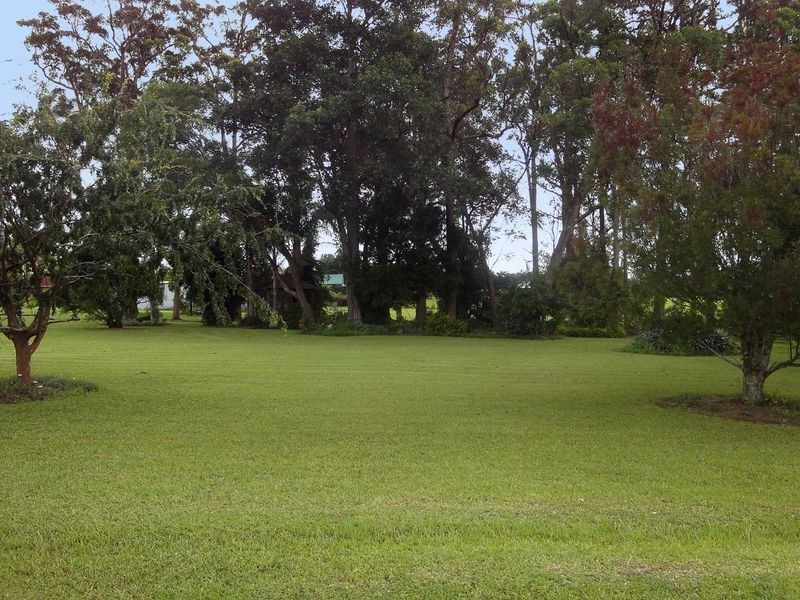 41 Sarahs Crescent, King Creek NSW 2446