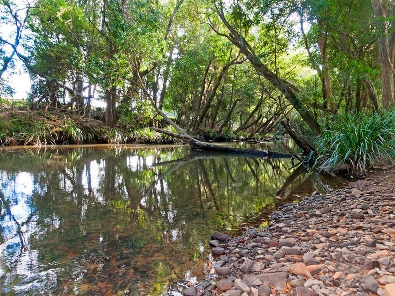13 Loganvale Road, Logans Crossing NSW 2439