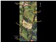 13 Loganvale Road, Logans Crossing NSW 2439