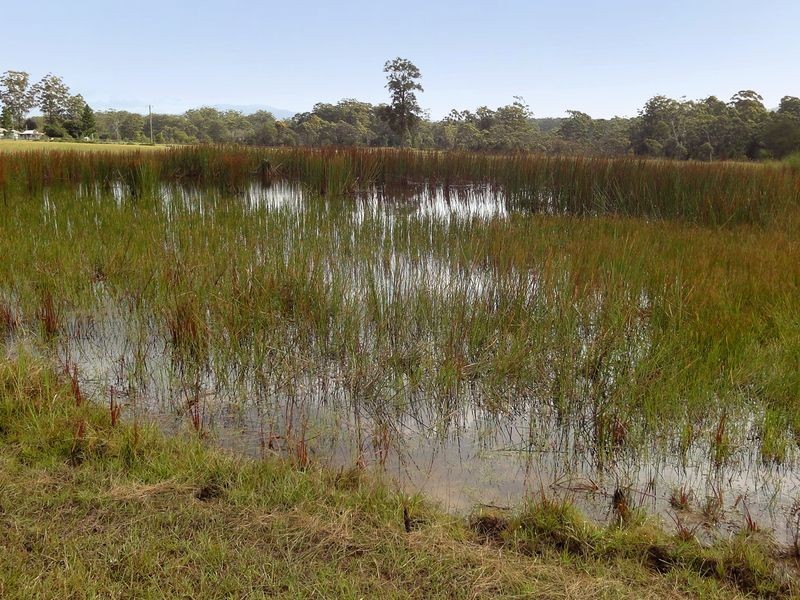 Herons Creek NSW 2443