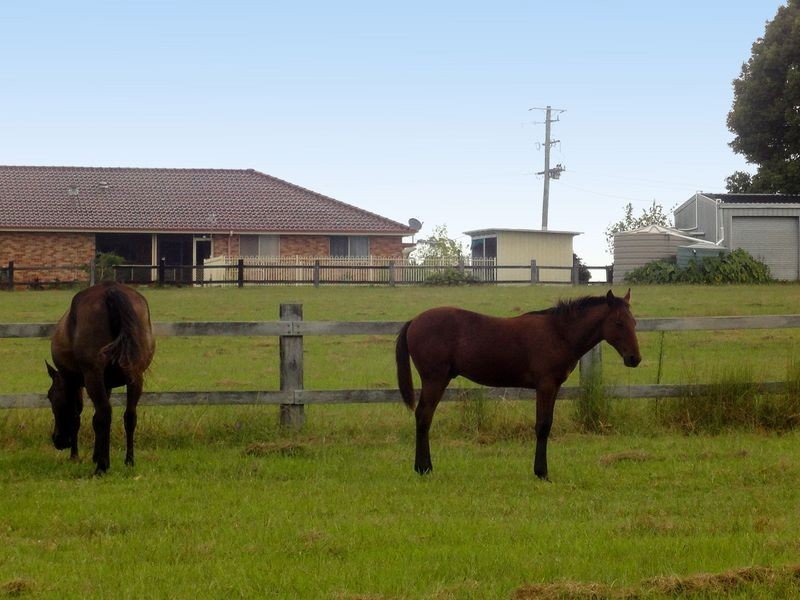 Herons Creek NSW 2443