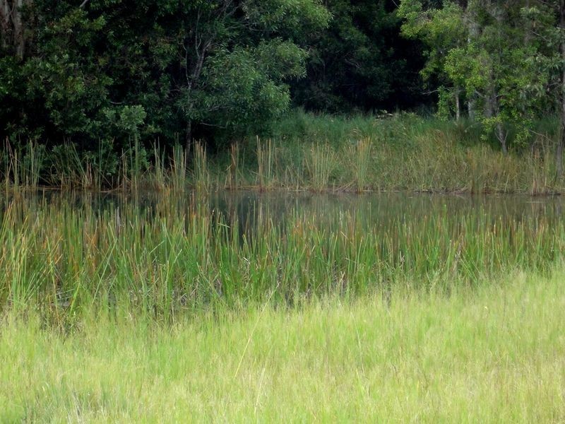 Herons Creek NSW 2443