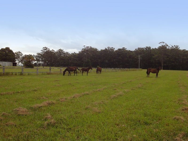 Herons Creek NSW 2443