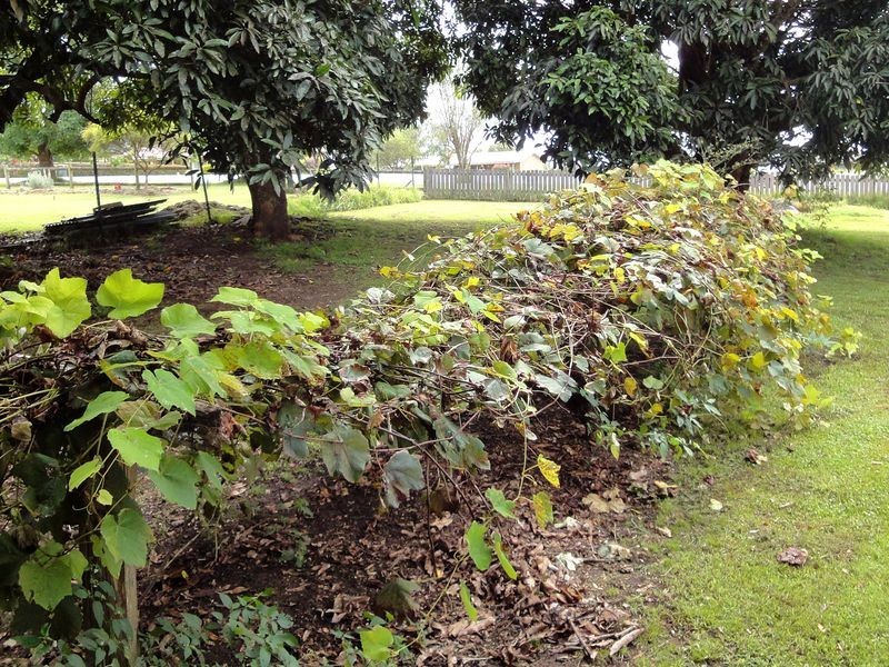 56 Jericho Road, Moorland NSW 2443