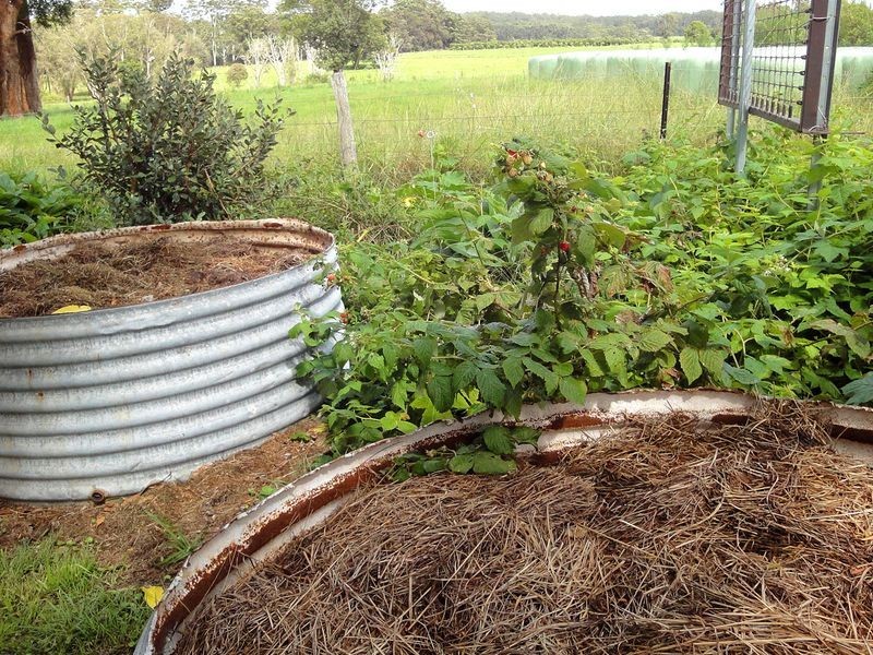 56 Jericho Road, Moorland NSW 2443