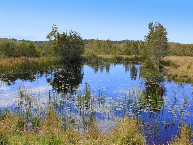 745 Ocean Drive, Bonny Hills NSW 2445