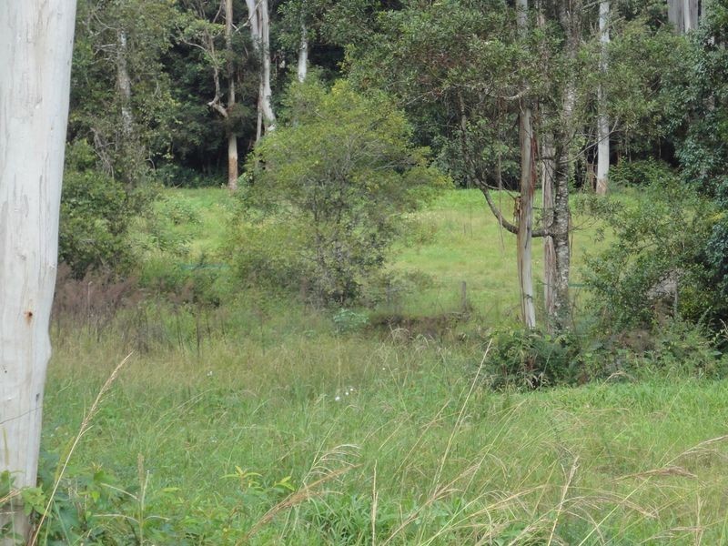 437 Deep Creek Road, Hannam Vale NSW 2443