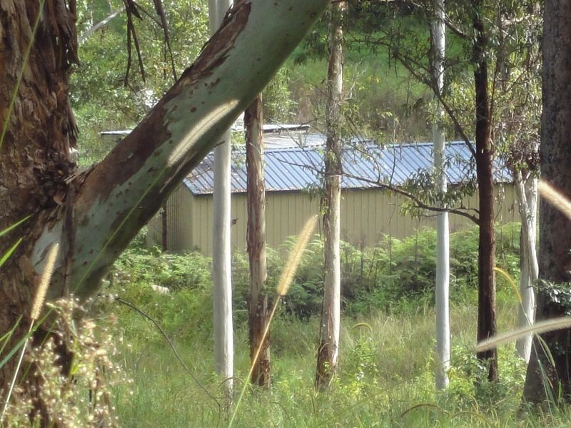 437 Deep Creek Road, Hannam Vale NSW 2443