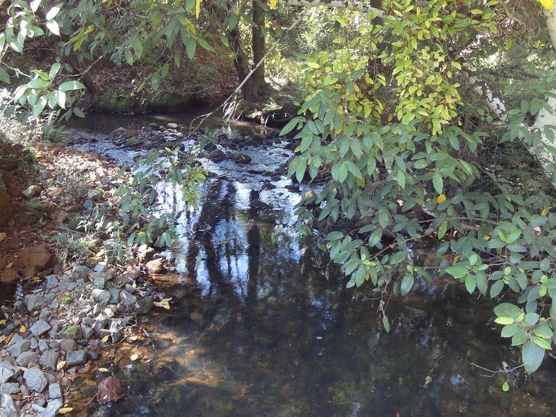 437 Deep Creek Road, Hannam Vale NSW 2443