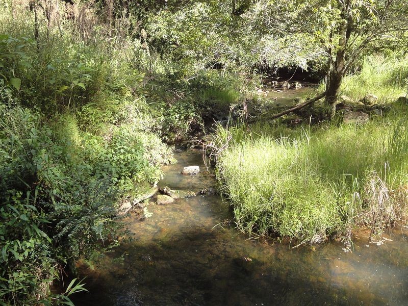 437 Deep Creek Road, Hannam Vale NSW 2443