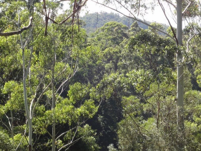 437 Deep Creek Road, Hannam Vale NSW 2443