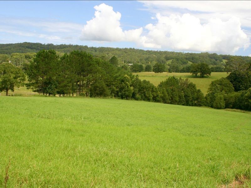 1982 Hannam Vale Road, Lorne NSW 2439