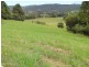 1982 Hannam Vale Road, Lorne NSW 2439