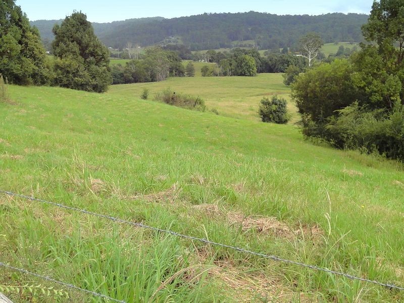 1982 Hannam Vale Road, Lorne NSW 2439