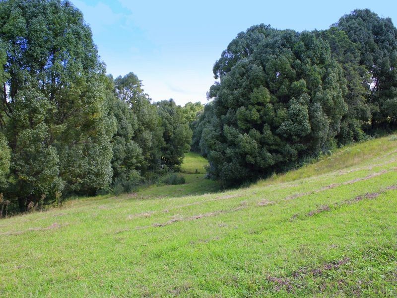 1982 Hannam Vale Road, Lorne NSW 2439