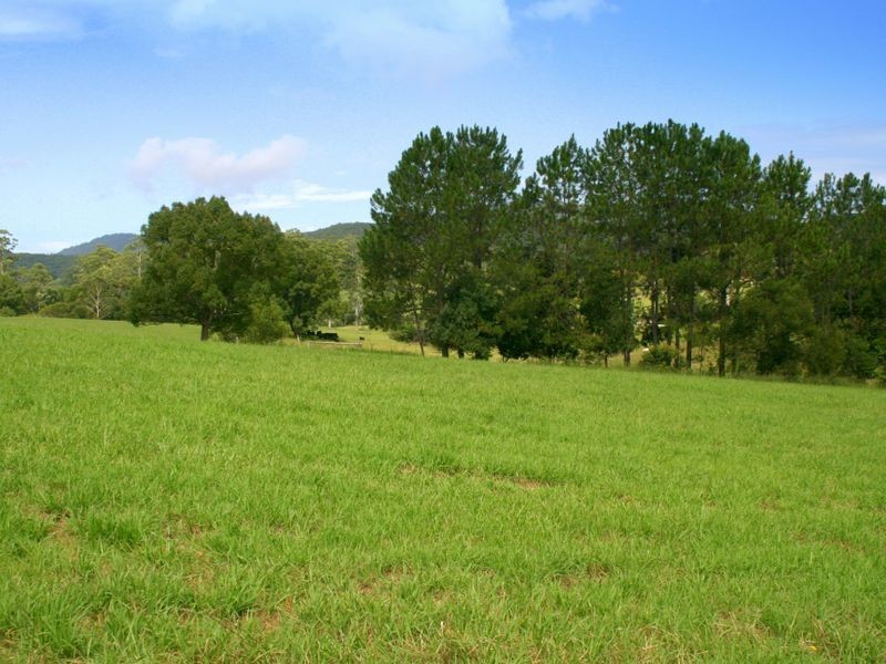 1982 Hannam Vale Road, Lorne NSW 2439