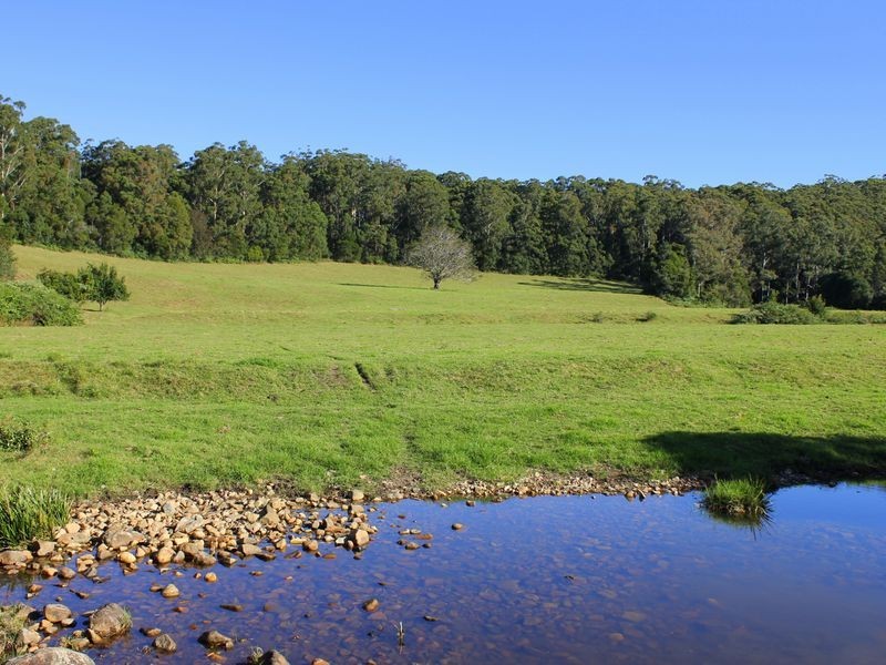 Middle Brother NSW 2443