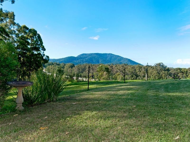 Middle Brother NSW 2443