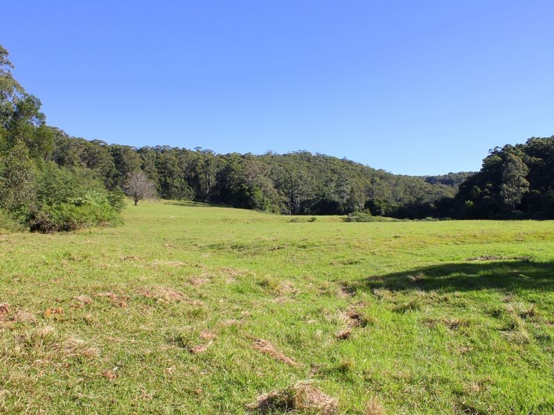 Middle Brother NSW 2443