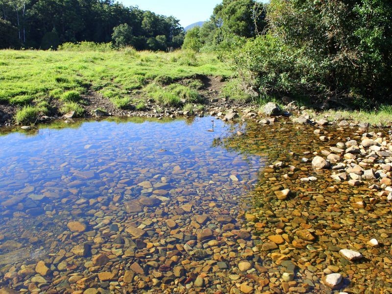 Middle Brother NSW 2443