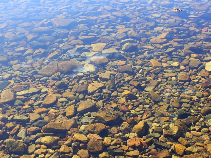 Middle Brother NSW 2443