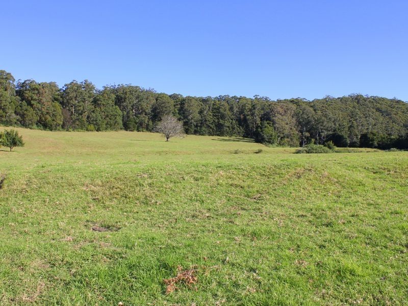 Middle Brother NSW 2443