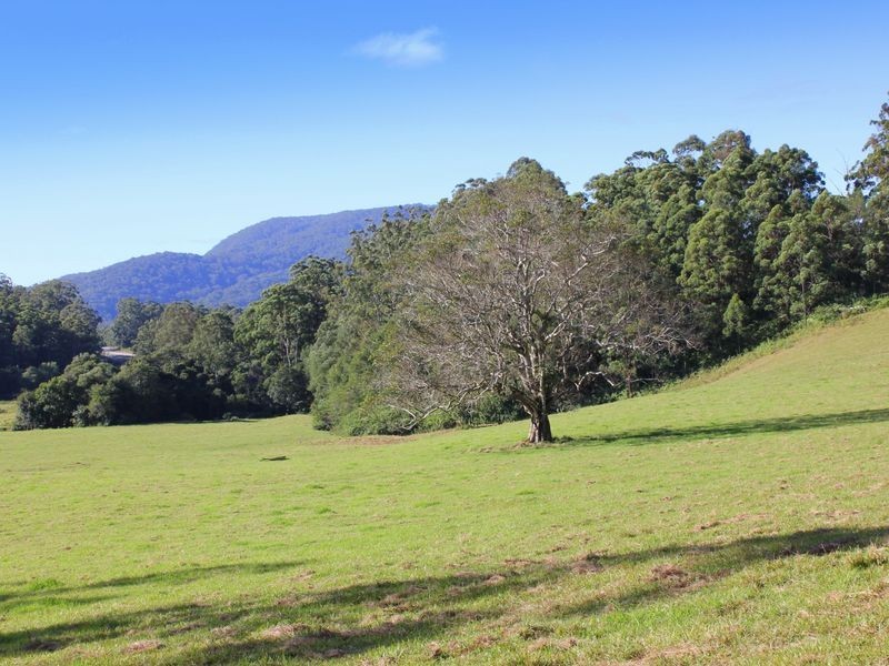 Middle Brother NSW 2443