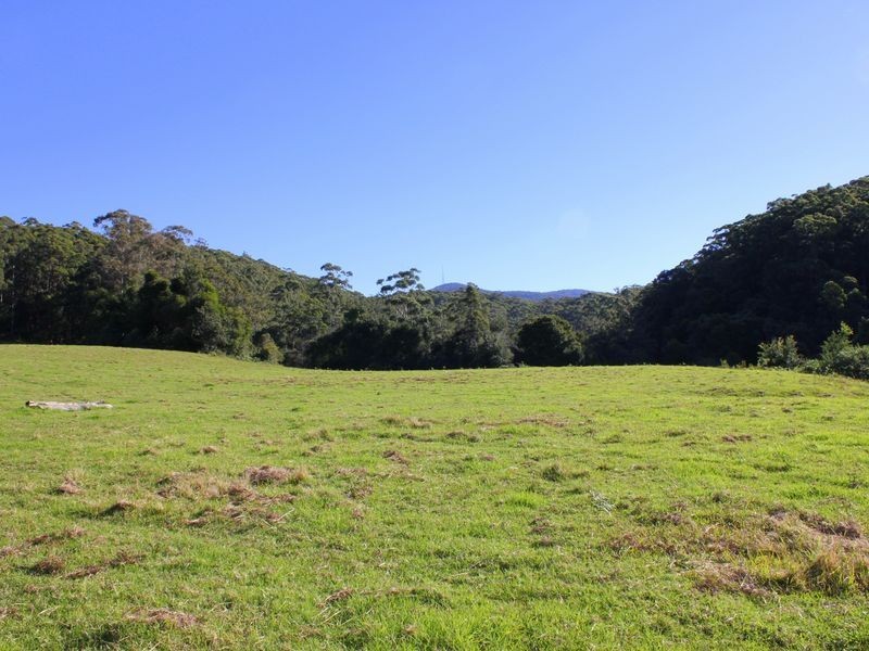 Middle Brother NSW 2443