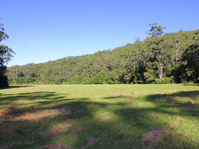 Middle Brother NSW 2443