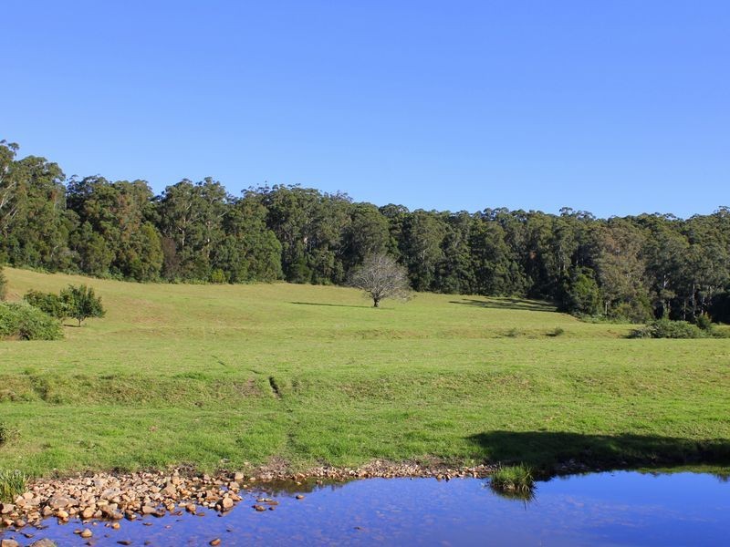 Middle Brother NSW 2443