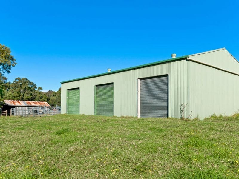 Middle Brother NSW 2443