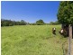 87 Henrys Lane, Moorland NSW 2443