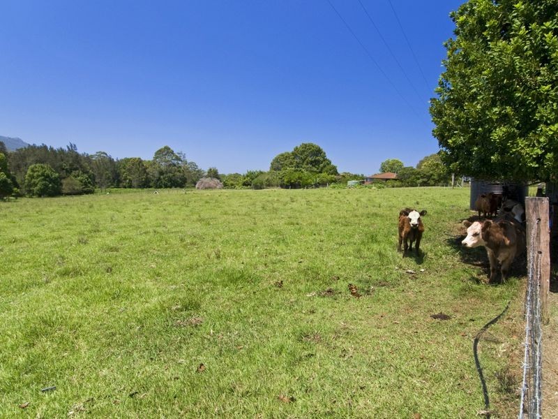 87 Henrys Lane, Moorland NSW 2443