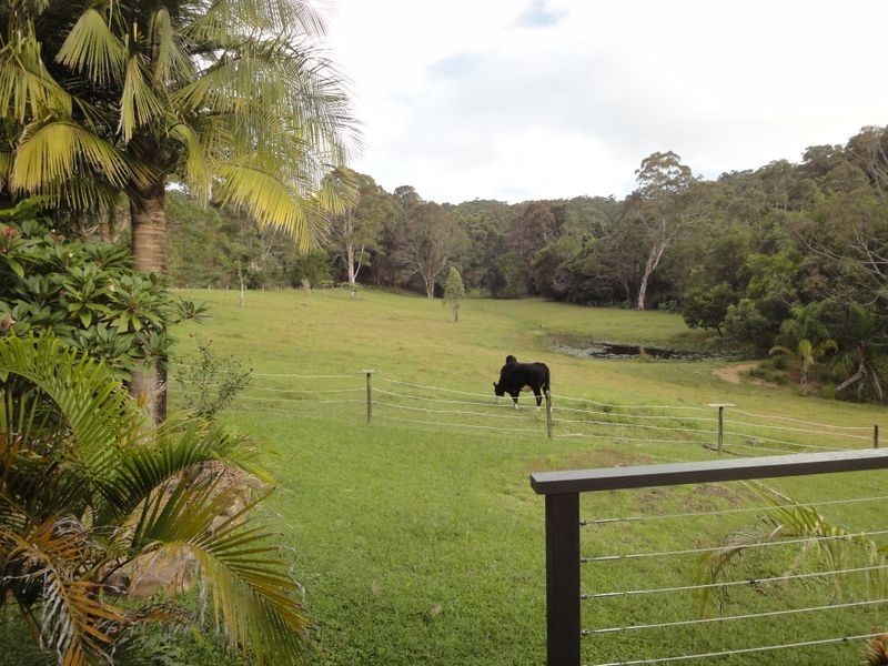 88 McCaffreys Road, Hannam Vale NSW 2443