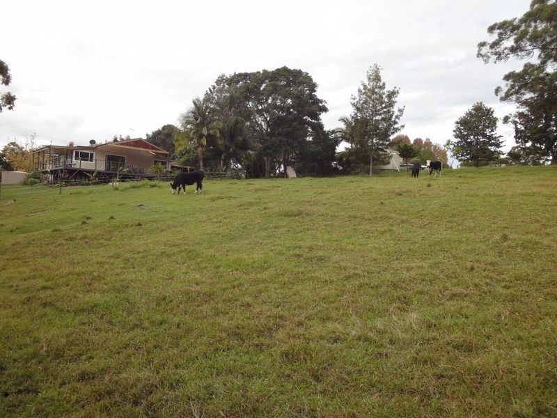 88 McCaffreys Road, Hannam Vale NSW 2443