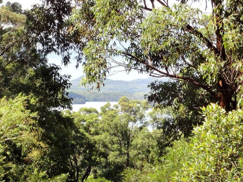 Middle Brother NSW 2443