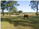 75 Blundell Road, Herons Creek NSW 2443