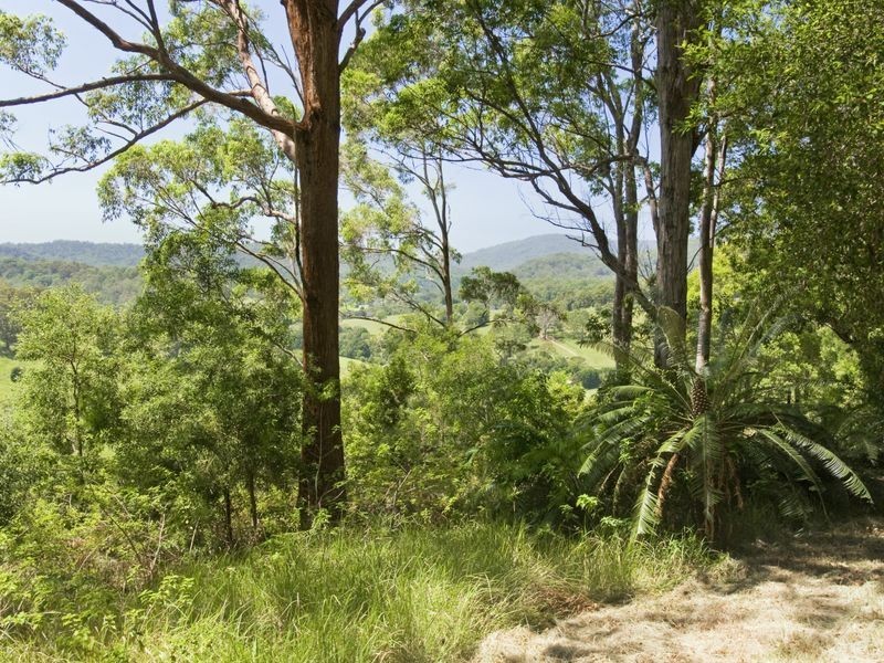 301 Upsalls Creek Road, Upsalls Creek NSW 2439