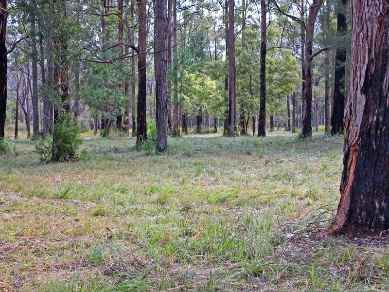 Lake Innes NSW 2446
