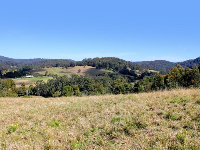 420 Batar Creek Road, Batar Creek NSW 2439