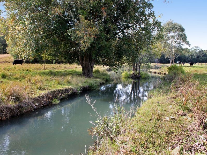 420 Batar Creek Road, Batar Creek NSW 2439