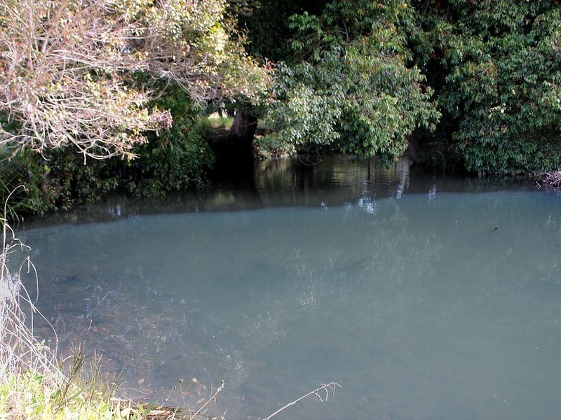 420 Batar Creek Road, Batar Creek NSW 2439