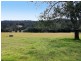 420 Batar Creek Road, Batar Creek NSW 2439