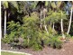 520 Ocean Drive, North Haven NSW 2443