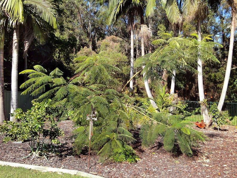 520 Ocean Drive, North Haven NSW 2443